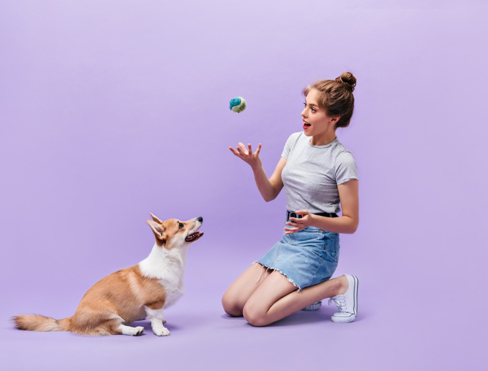 The Ultimate Guide to Puppy Training: Tips and Tricks for Success